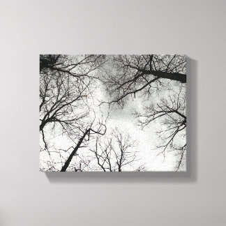 Winterbomen Bewolkte Lucht Canvas Afdruk