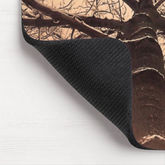 Winterbomen bij Down Muismat (Hoek)