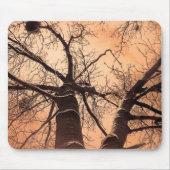 Winterbomen bij Down Muismat (Voorkant)