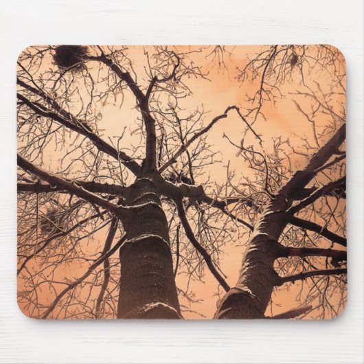 Winterbomen bij Down Muismat (Voorkant)