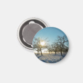 Winterbomen bij zonsopgang magneet (Voorkant / Achterkant)