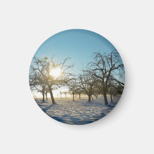 Winterbomen bij zonsopgang magneet (Voorkant)