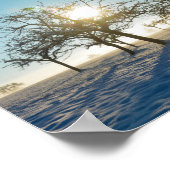 Winterbomen bij zonsopgang poster (Hoek)