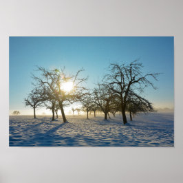 Winterbomen bij zonsopgang poster