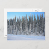 Winterbomen Briefkaart (Voorkant / Achterkant)