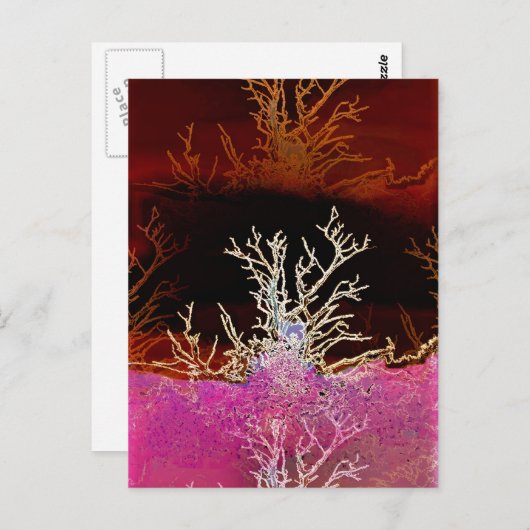 WINTERBOMEN BRIEFKAART (Voorkant / Achterkant)