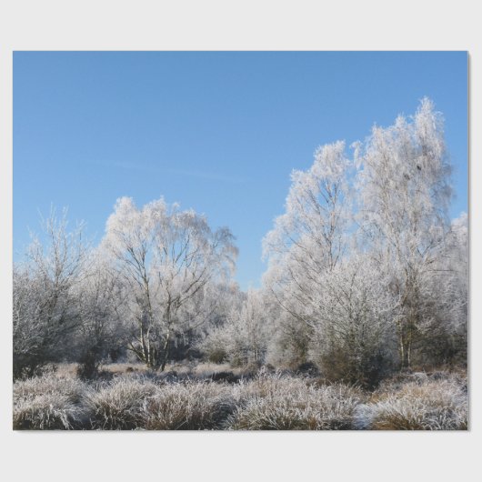 WINTERBOMEN CADEAUPAPIER (Vlak)