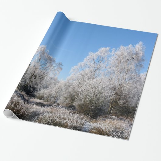 WINTERBOMEN CADEAUPAPIER (Uitgerold)