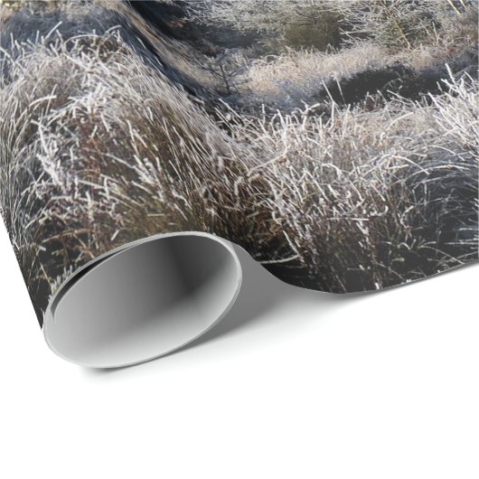 WINTERBOMEN CADEAUPAPIER (Rol Hoek)