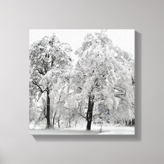 Winterbomen Canvas Afdruk (Voorkant)