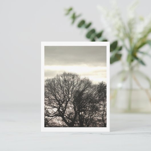 Winterbomen: Cheshire Briefkaart (Staand voorkant)