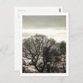 Winterbomen: Cheshire Briefkaart (Voorkant / Achterkant)