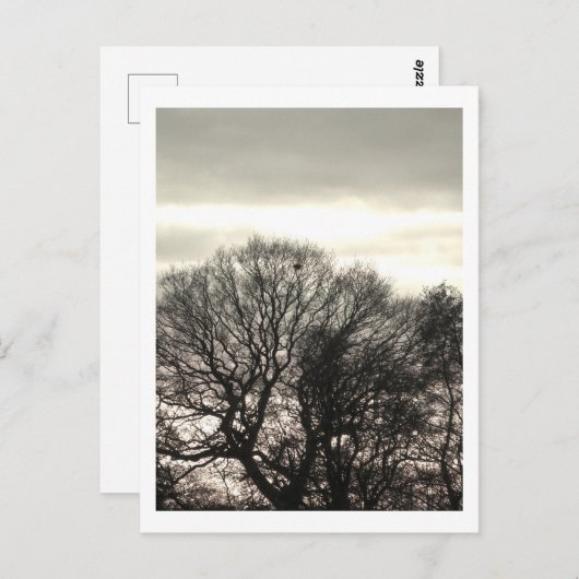 Winterbomen: Cheshire Briefkaart (Voorkant / Achterkant)