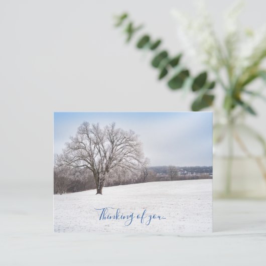 Winterbomen denken aan je Briefkaart (Staand voorkant)