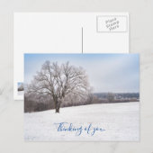 Winterbomen denken aan je Briefkaart (Voorkant / Achterkant)