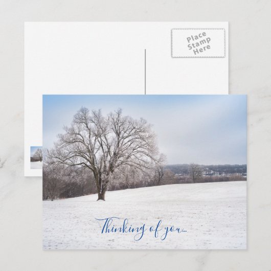 Winterbomen denken aan je Briefkaart (Voorkant / Achterkant)