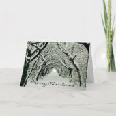 Winterbomen Feestdagen Kaart (Voorkant)