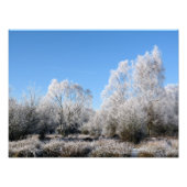 WINTERBOMEN FOTO AFDRUK (Voorkant)