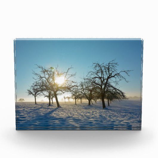 Winterbomen - - fotoblokken (Voorkant)