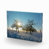 Winterbomen   -     - fotoblokken (Rechts)