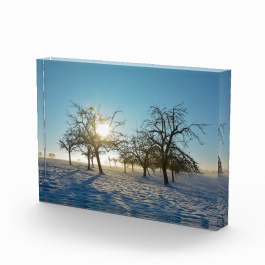 Winterbomen - - fotoblokken (Rechts)