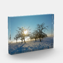 Winterbomen   -     - fotoblokken