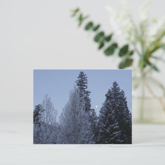 Winterbomen in het landschap van Dawn Montana Briefkaart (Staand voorkant)