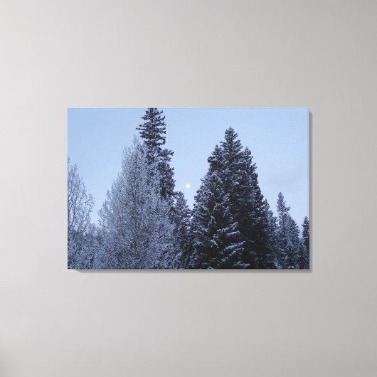 Winterbomen in het landschap van Dawn Montana Canvas Afdruk (Voorkant)