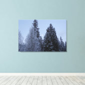 Winterbomen in het landschap van Dawn Montana Canvas Afdruk (Insitu (Houten vloer))