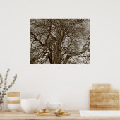 Winterbomen in het vroege voorjaar - Sepia Poster (Keuken)