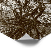 Winterbomen in het vroege voorjaar - Sepia Poster (Hoek)