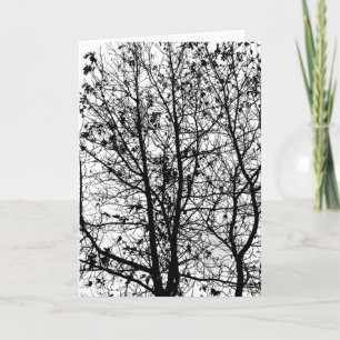 Winterbomen Kaart