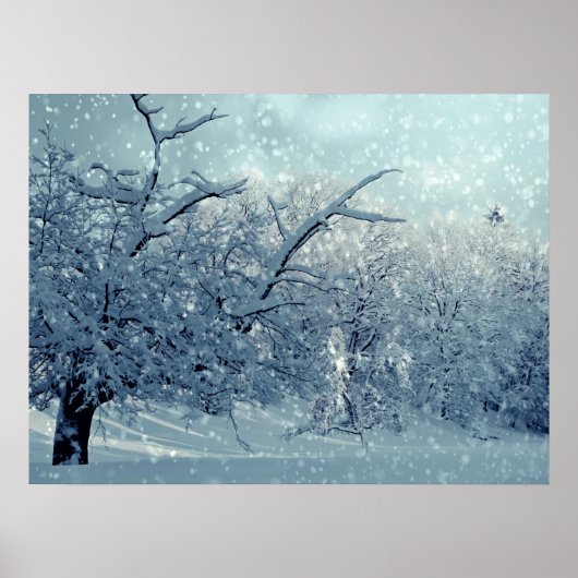 Winterbomen Landschap Poster (Voorkant)