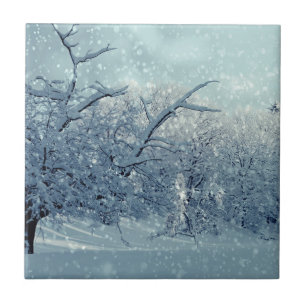 Winterbomen Landschap Tegeltje