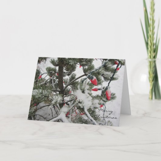 Winterbomen met sneeuw feestdagen kaart (Voorkant)