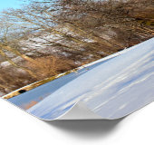 Winterbomen met vogels poster (Hoek)