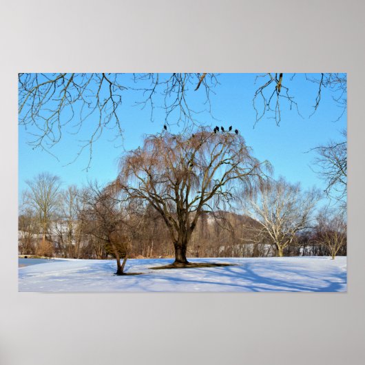 Winterbomen met vogels poster (Voorkant)