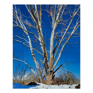 Winterbomen onder een heldere blauwe hemel in een perfect poster