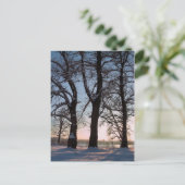 Winterbomen op blauwe achtergrond briefkaart (Staand voorkant)