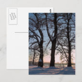 Winterbomen op blauwe achtergrond briefkaart (Voorkant / Achterkant)