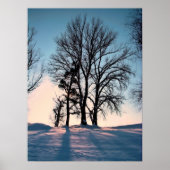 Winterbomen op de achtergrond van het schemerblauw poster (Voorkant)