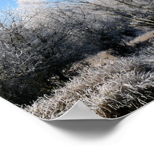 WINTERBOMEN POSTER (Hoek)