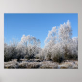 WINTERBOMEN POSTER (Voorkant)