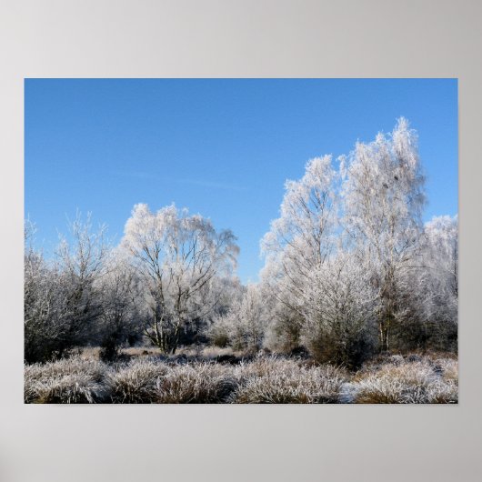 WINTERBOMEN POSTER (Voorkant)