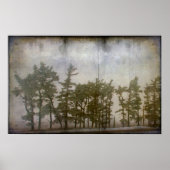 Winterbomen Poster (Voorkant)