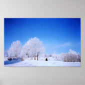 Winterbomen Poster (Voorkant)