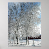 Winterbomen Poster (Voorkant)
