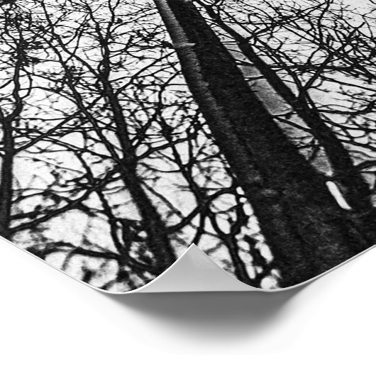 Winterbomen silhouet #1 poster (Hoek)
