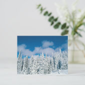 Winterbomen, Steamboot, Colorado, VS Briefkaart (Staand voorkant)