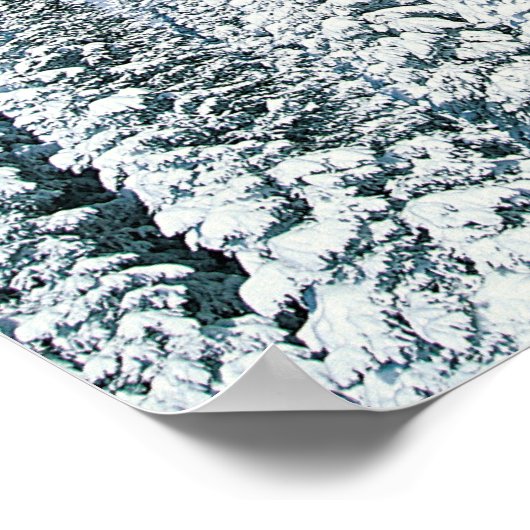 Winterbomen, Steamboot, Colorado, VS Poster (Hoek)